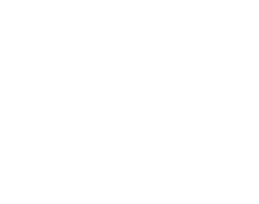 CindyCats logo