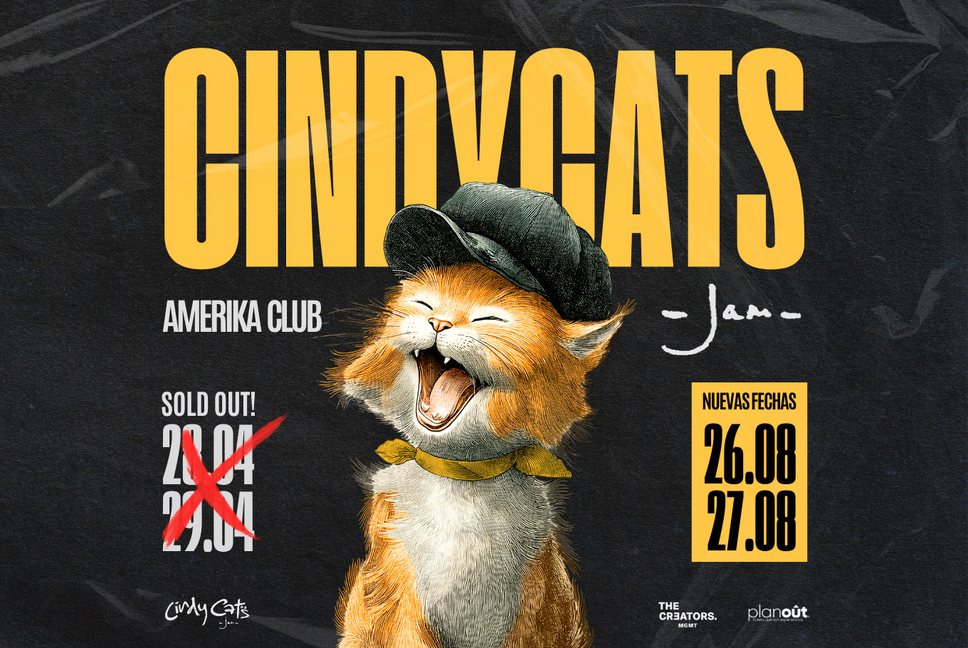 Cindy Cats
